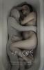 poster_aracne